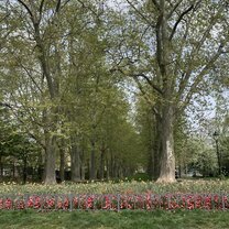 Letná Park - my favorite park in Prague that has a wonderful view of the city, gorgeous flowers in the spring, and a tasty beer garden